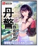 丹警txt